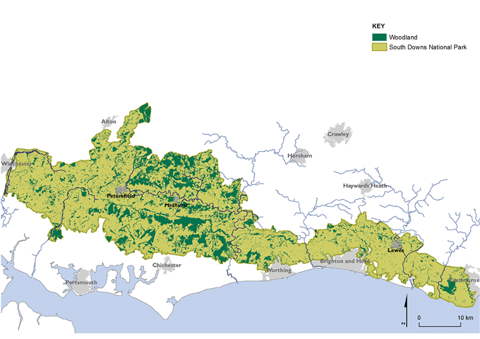 5_6_Woodland_Distribution.tif